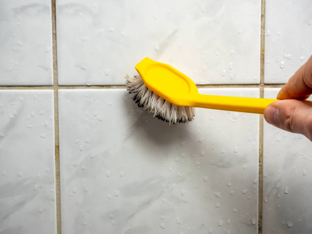 Best Mold Remediation  in Beattystown, NJ